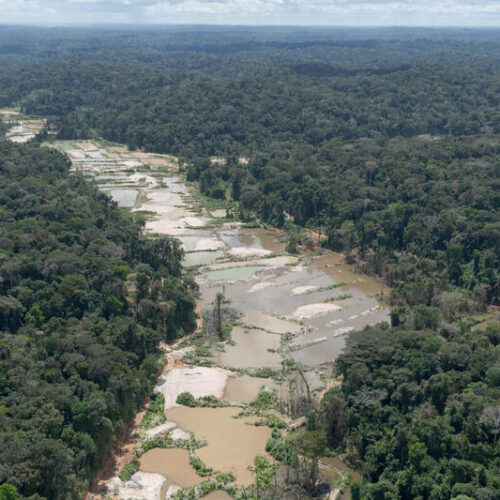 Illegal mining halts develompment in the Amazon, study says