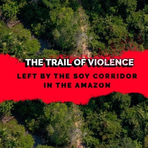 BR 163 the trail of violence