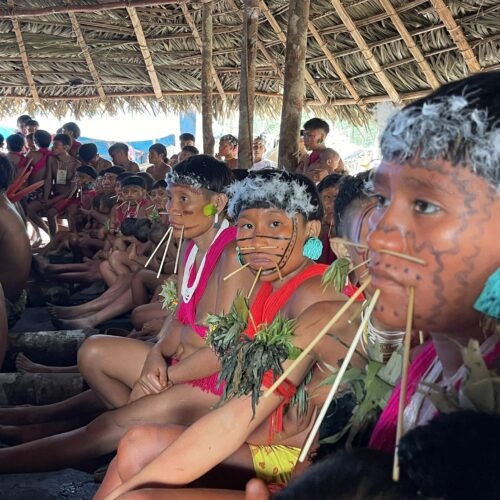 This is the Yanomami people that takes care of the forest