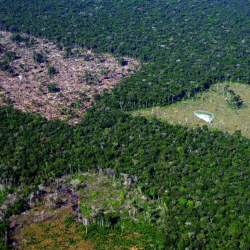 Áreas de degradação no município de Careiro da Várzea, no Amazonas próximo às Terras Indígenas do povo Mura