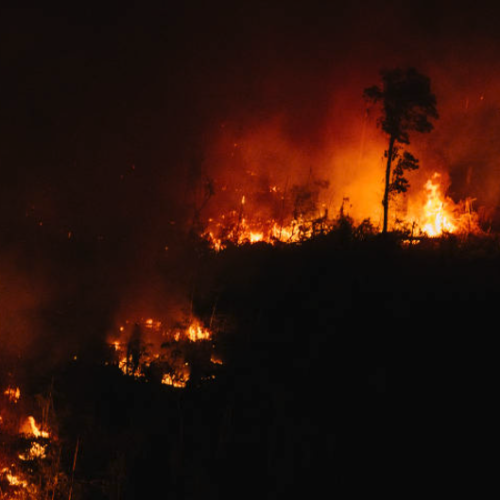Incêndios florestais se concentraram na Amazônia e no cerrado em 2022