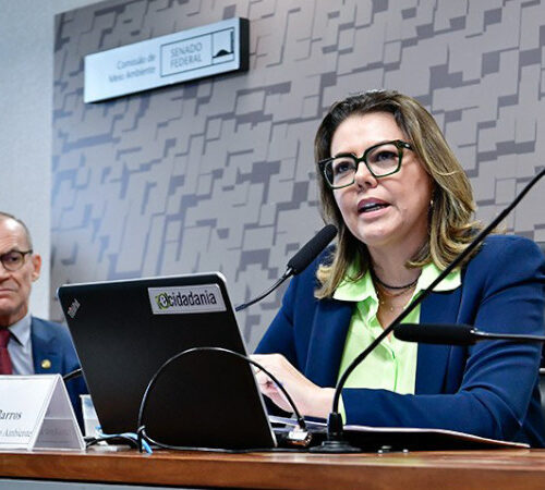 A Comissão de Meio Ambiente (CMA) elegeu a senadora Leila Barros (PDT-DF) como presidente para o biênio 2023-2024. O senador Fabiano Contarato (PT-ES) vai ocupar a vice-presidência da comissão.